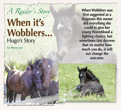 Wobblers Article