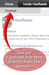 Hoofbeats on Facebook
